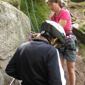 IMG 0581