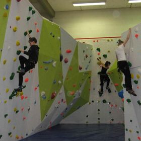 IMG 3575 1