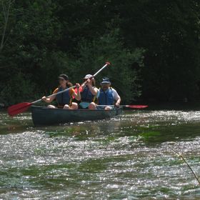 IMG 0603