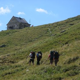 IMG 0467