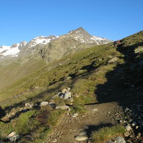 IMG 0478