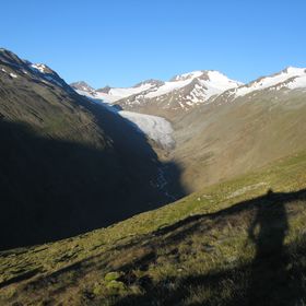 IMG 0479