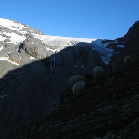 IMG 0485