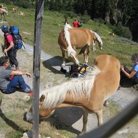 IMG 0525