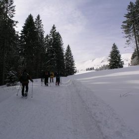 Schneeschuh 2010 006