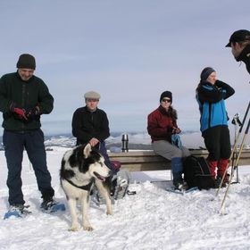Schneeschuh 2010 022