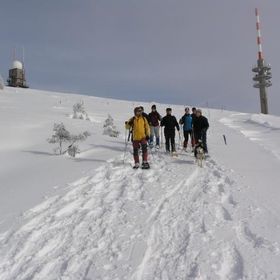 Schneeschuh 2010 031