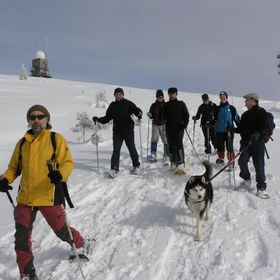 Schneeschuh 2010 032